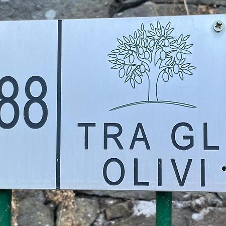 Tra Gli Olivi Lejlighed Lucca Eksteriør billede