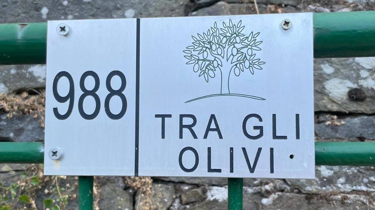 Tra Gli Olivi Lejlighed Lucca Eksteriør billede