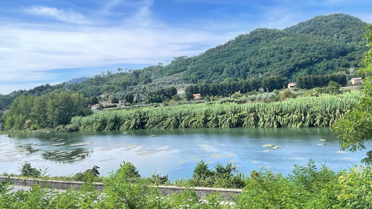 Tra Gli Olivi Lejlighed Lucca Eksteriør billede