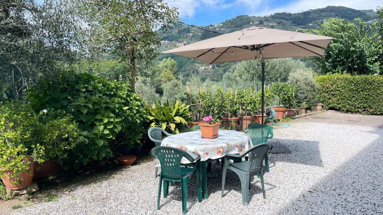 Tra Gli Olivi Lejlighed Lucca Eksteriør billede
