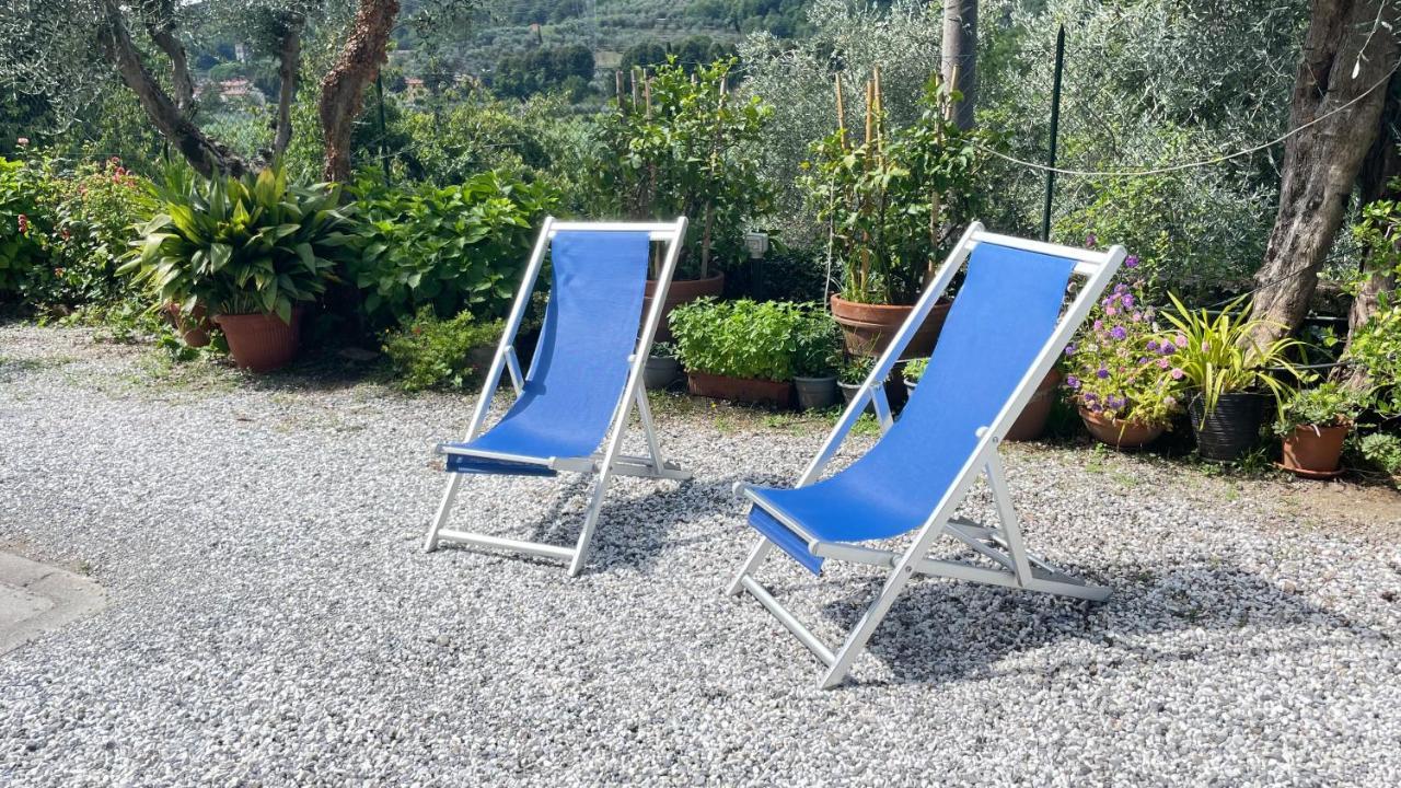 Tra Gli Olivi Lejlighed Lucca Eksteriør billede