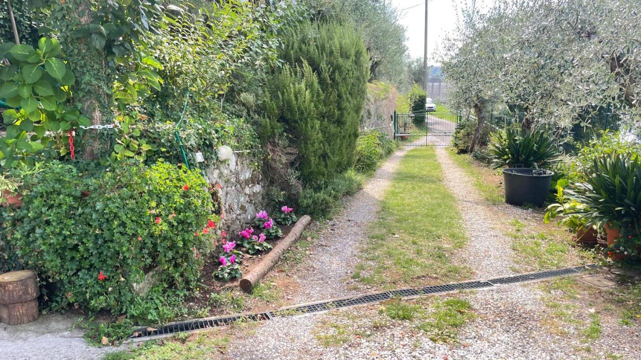 Tra Gli Olivi Lejlighed Lucca Eksteriør billede